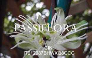 passiflora